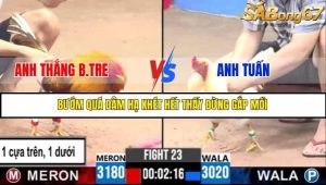 Trận 23 Bồ Gà C3 Ngày 5/7/2025