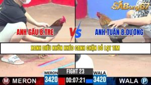 Trận 23 Bồ Gà C3 Ngày 9/7/2025