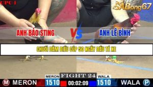 Trận 24 Bồ Gà C1 7/7/2025
