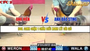 Trận 24 Bồ Gà C2 Ngày 20/7/2025
