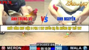 Trận 24 Bồ Gà C2 Ngày 23/7/2025
