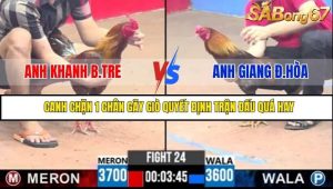 Trận 24 Bồ Gà C3 3/7/2025