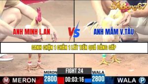 Trận 24 Bồ Gà C3 Ngày 4/7/2025