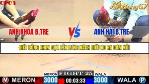 Trận 25 Bồ Gà C1 Ngày 23/7/2025