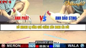 Trận 25 Bồ Gà C2 Ngày 20/7/2025