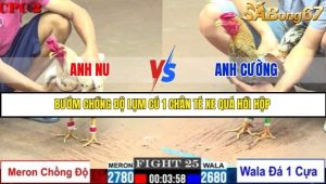 Trận 25 Bồ Gà C2 Ngày 25/7/2025