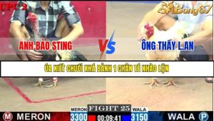 Trận 25 Bồ Gà C2 Ngày 9/7/2025