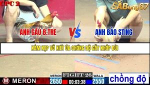 Trận 26 Bồ Gà C2 Ngày 20/7/2025