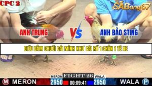 Trận 26 Bồ Gà C2 Ngày 9/7/2025