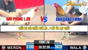 Trận 26 Bồ Gà C3 Ngày 12/7/2025