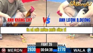 Trận 26 Bồ Gà C3 Ngày 19/7/2025