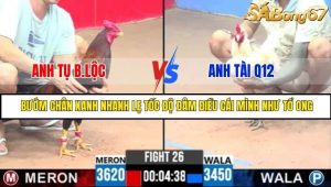 Trận 26 Bồ Gà C3 Ngày 29/7/2025