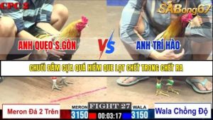 Trận 27 Bồ Gà C2 Ngày 11/7/2025