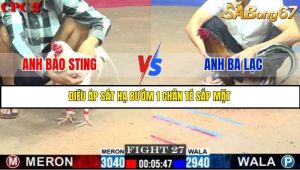 Trận 27 Bồ Gà C2 Ngày 16/7/2025