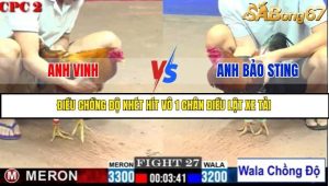 Trận 27 Bồ Gà C2 Ngày 9/7/2025