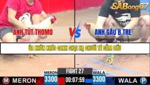 Trận 27 Bồ Gà C3 Ngày 17/7/2025
