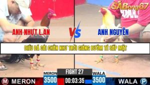 Trận 27 Bồ Gà C3 Ngày 29/7/2025