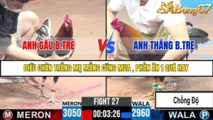 Trận 27 Bồ Gà C3 Ngày 8/7/2025