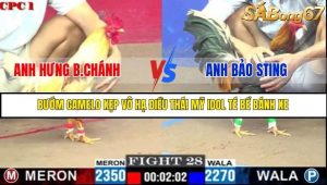 Trận 28 Bồ Gà C1 7/7/2025