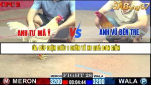 Trận 28 Bồ Gà C2 2/7/2025