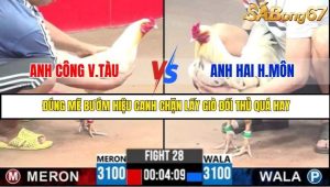 Trận 28 Bồ Gà C3 Ngày 28/7/2025