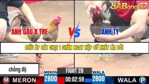 Trận 28 Bồ Gà C3 Ngày 9/7/2025