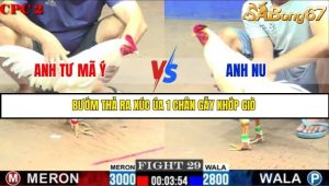 Trận 29 Bồ Gà C2 Ngày 27/7/2025