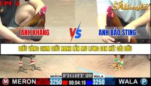 Trận 29 Bồ Gà C2 Ngày 9/7/2025