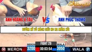 Trận 29 Bồ Gà C3 Ngày 12/7/2025