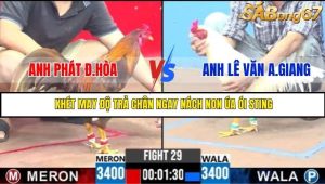Trận 29 Bồ Gà C3 Ngày 30/7/2025