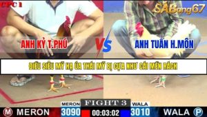 Trận 3 Bồ Gà C1 Ngày 12/7/2025