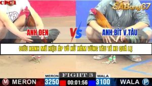 Trận 3 Bồ Gà C1 Ngày 17/7/2025