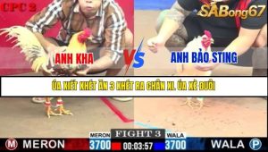 Trận 3 Bồ Gà C2 Ngày 16/7/2025