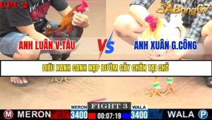 Trận 3 Bồ Gà C2 Ngày 25/7/2025