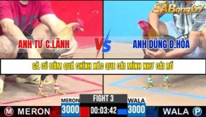 Trận 3 Bồ Gà C3 2/7/2025