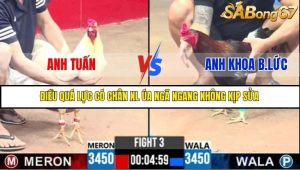 Trận 3 Bồ Gà C3 6/7/2025
