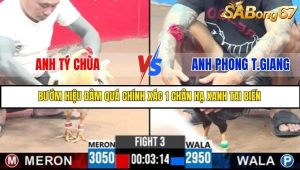 Trận 3 Bồ Gà C3 Ngày 26/7/2025