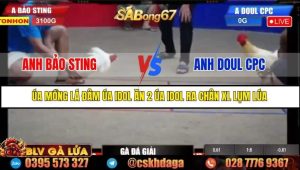 Trận 3 Bồ Gà Tonhon Ngày 18/7/2025