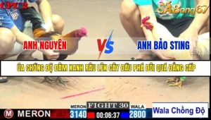 Trận 30 Bồ Gà C2 Ngày 27/7/2025