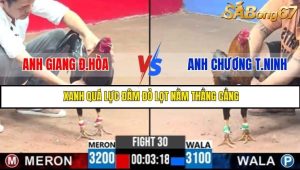 Trận 30 Bồ Gà C3 3/7/2025
