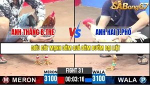Trận 31 Bồ Gà C3 3/7/2025