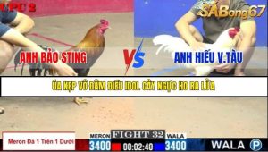 Trận 32 Bồ Gà C2 Ngày 16/7/2025