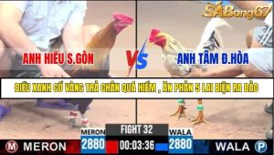 Trận 32 Bồ Gà C3 Ngày 26/7/2025