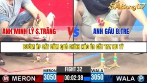 Trận 32 Bồ Gà C3 Ngày 8/7/2025