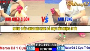 Trận 33 Bồ Gà C1 Ngày 24/7/2025