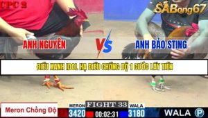 Trận 33 Bồ Gà C2 Ngày 27/7/2025