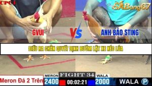 Trận 34 Bồ Gà C1 7/7/2025