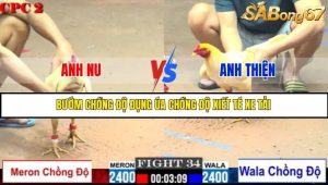 Trận 34 Bồ Gà C2 Ngày 16/7/2025