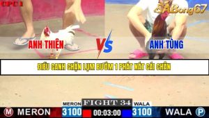 Trận 34 Bồ Gà C3 Ngày 24/7/2025
