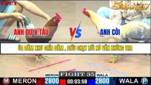 Trận 35 Bồ Gà C1 1/7/2025